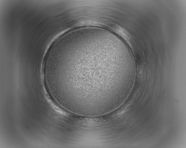 X0000073530987200608141022