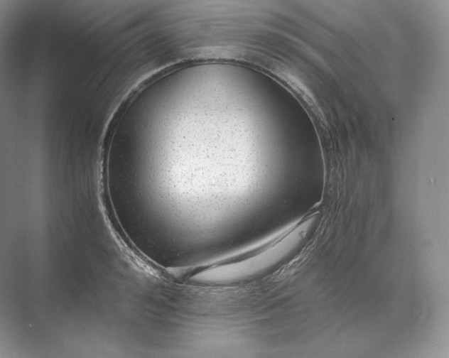X0000073530992200608141021