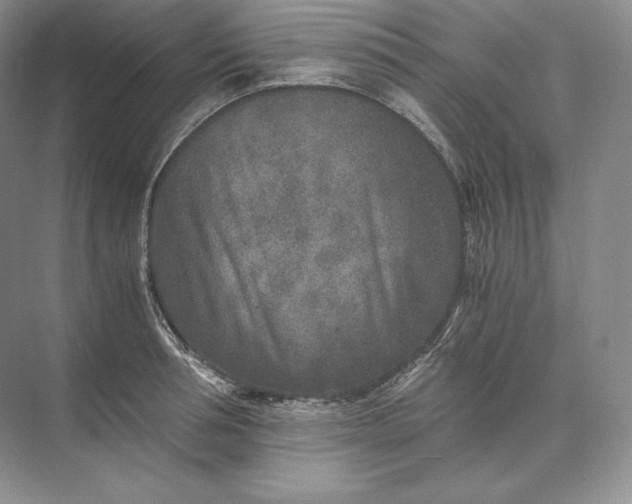X0000073530994200608141021