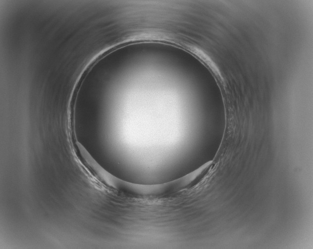 X0000073530996200608141021