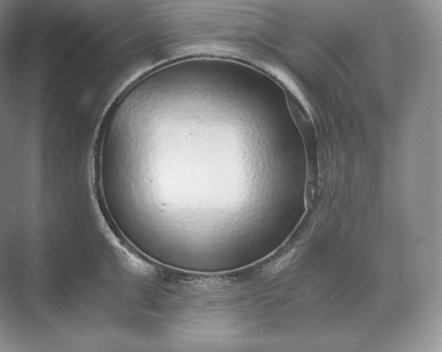 X0000073530999200608141021