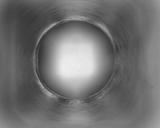 X0000073531003200608141021