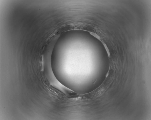 X0000073531010200608141020