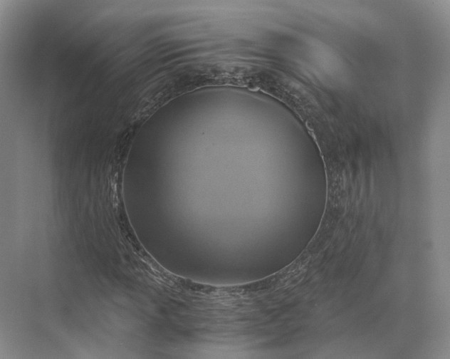 X0000073531013200608141020