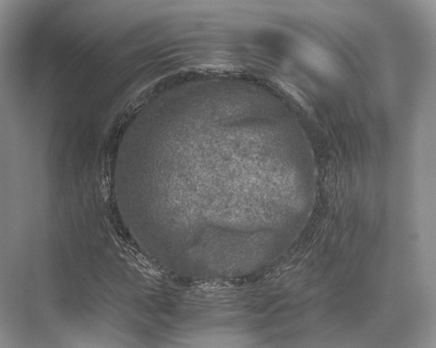 X0000073531015200608141020
