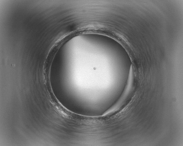 X0000073531018200608141020