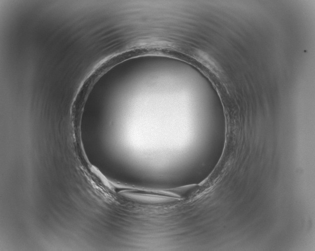 X0000073531022200608141021