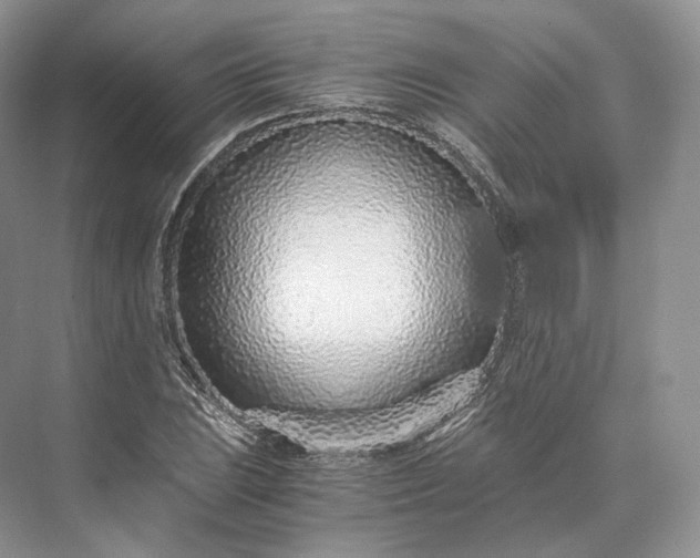 X0000073531023200608141021