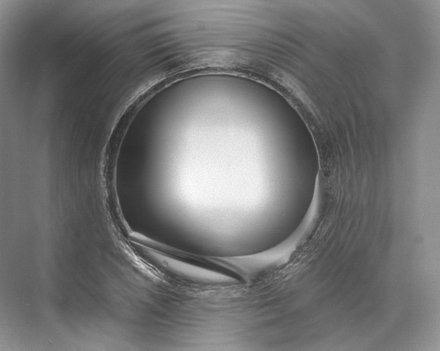 X0000073531026200608141021