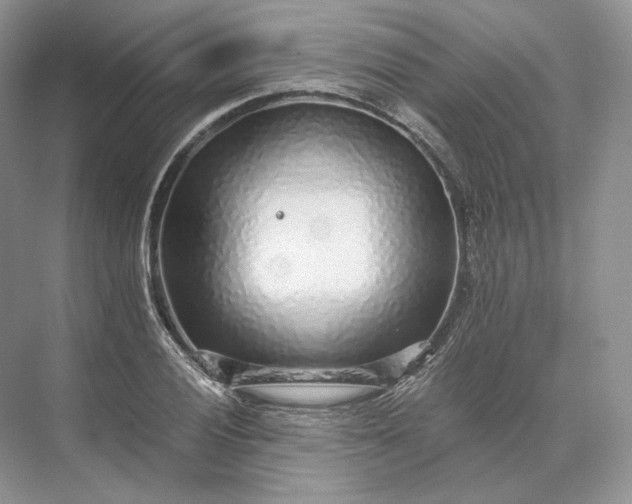 X0000073531028200608141021