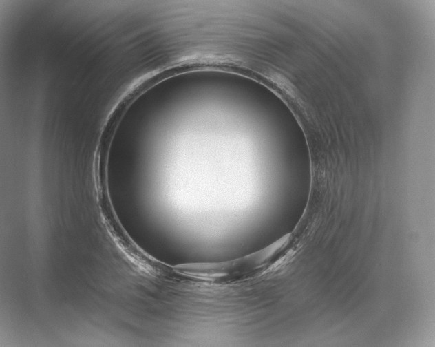 X0000073531030200608141021