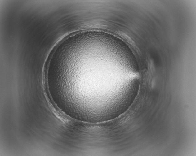 X0000073531031200608141021