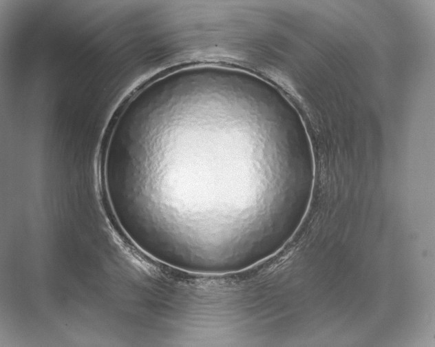 X0000073531032200608141021