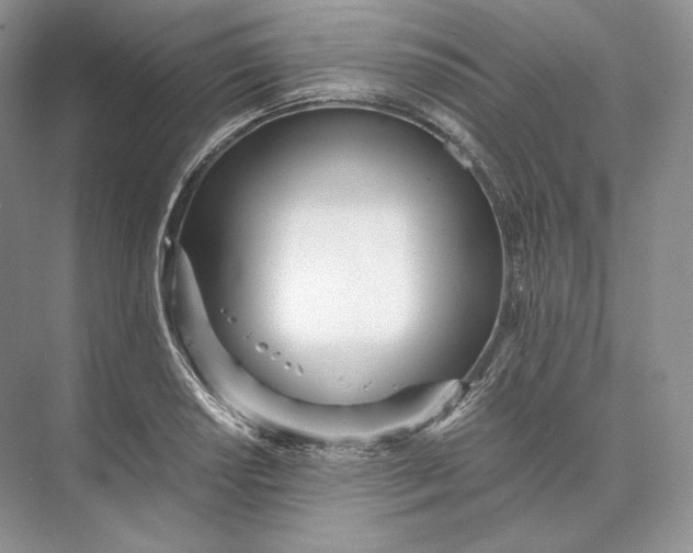 X0000073531034200608141021