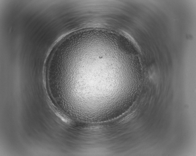X0000073531035200608141021