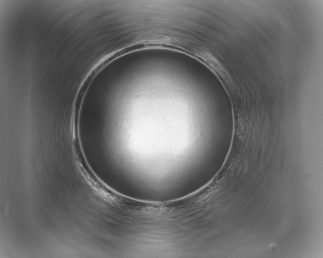 X0000073531036200608141021