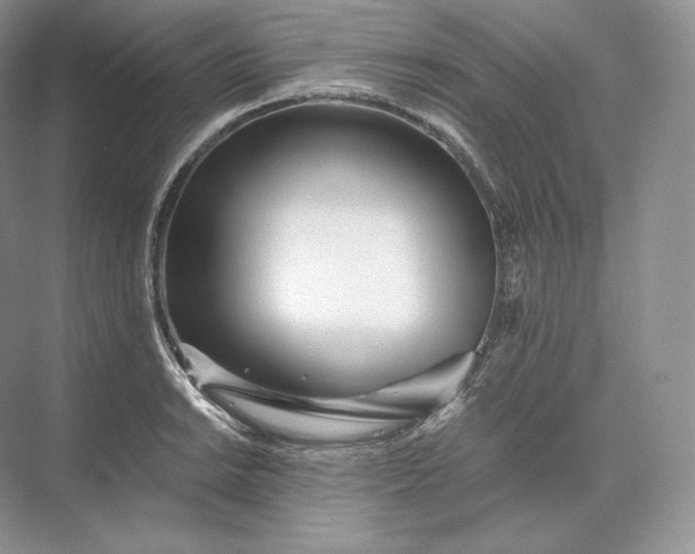 X0000073531038200608141021
