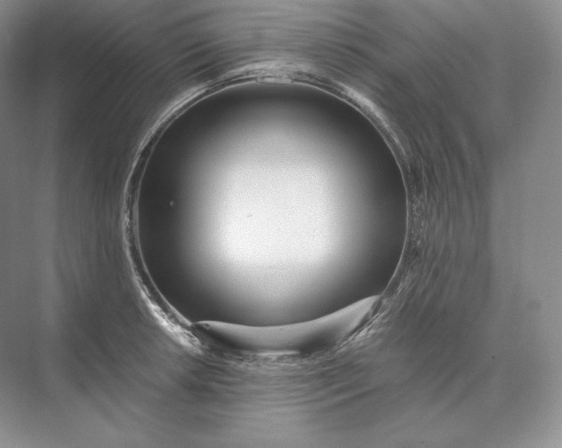 X0000073531042200608141021
