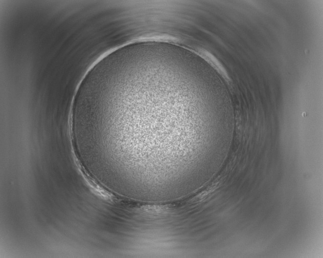 X0000073531044200608141021