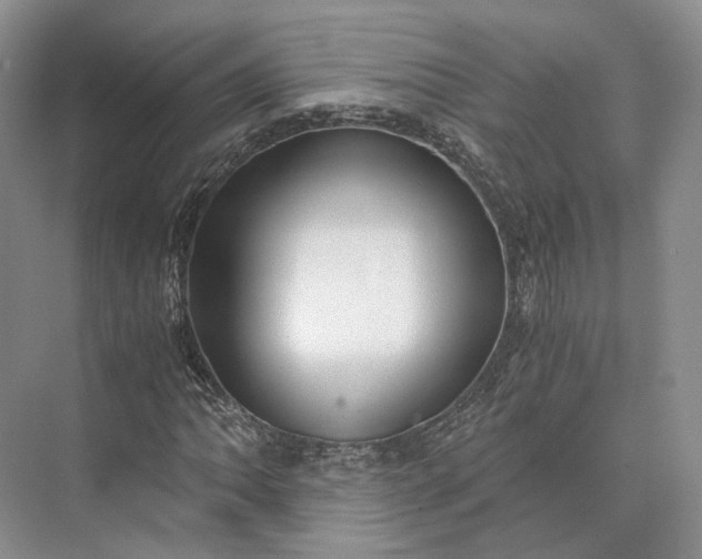 X0000073531062200608141020
