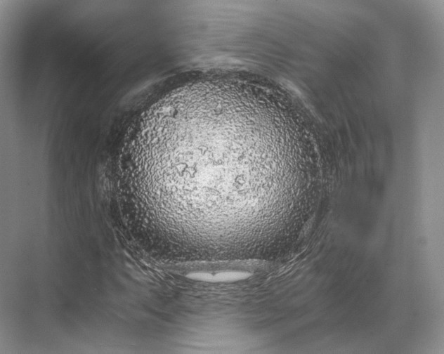 X0000073531063200608141020