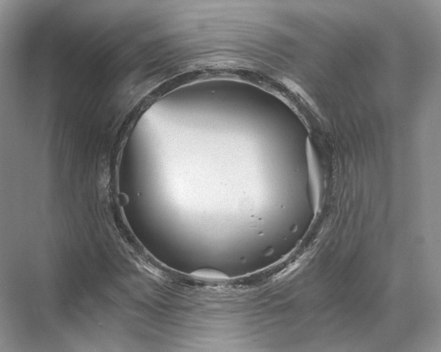 X0000073531065200608141020