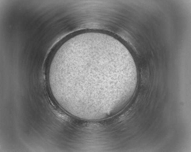 X0000073531070200608141020