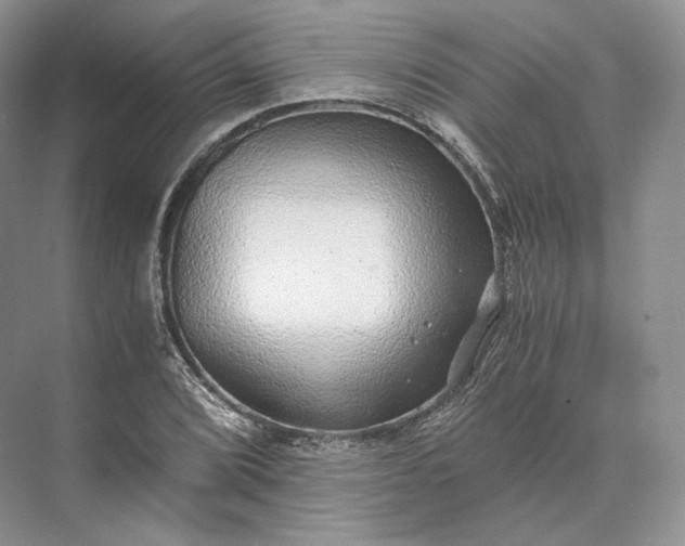 X0000073531072200608141020