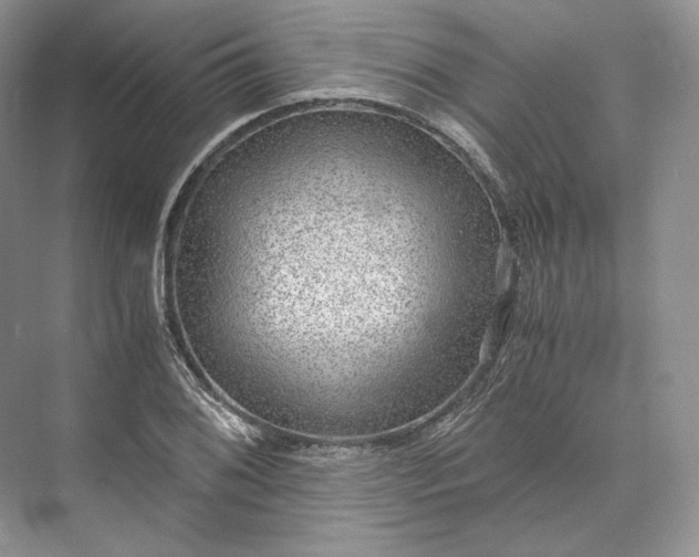 X0000073531076200608141020