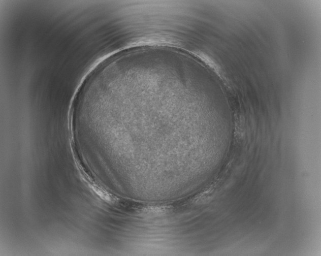 X0000073531078200608141020