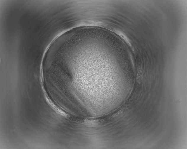 X0000073531080200608141020