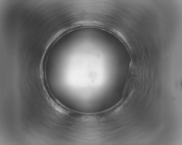 X0000073531082200608141020