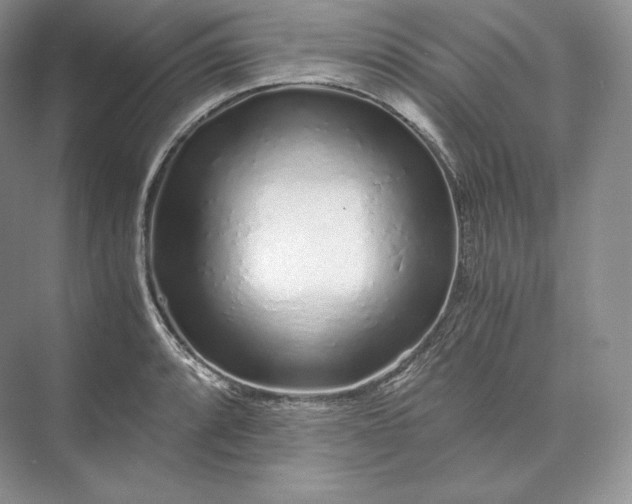 X0000073531088200608141020