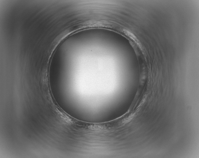 X0000073531089200608141020