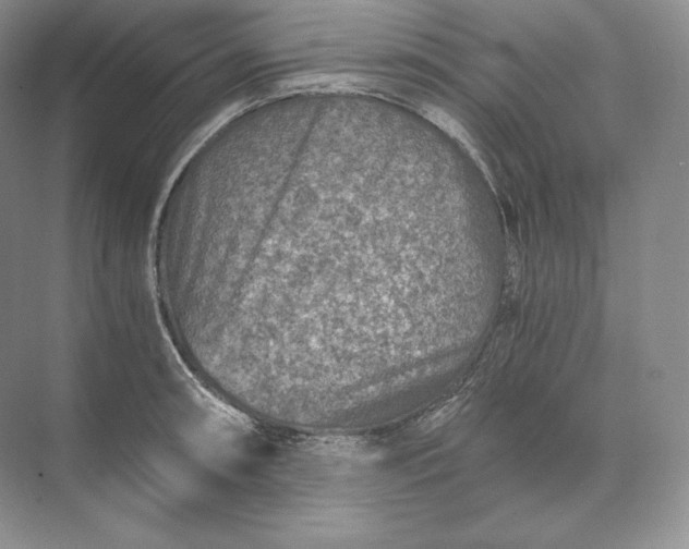 X0000073531090200608141020