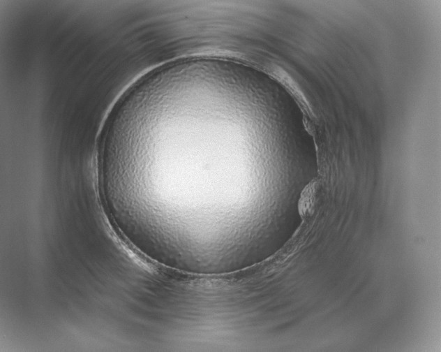 X0000073531092200608141020