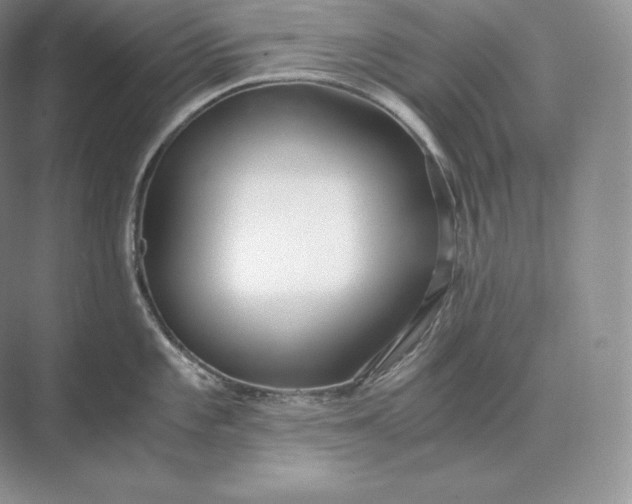 X0000073531101200608141020