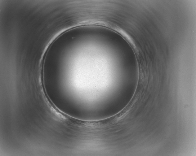 X0000073531102200608141020
