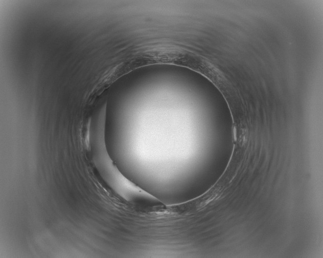 X0000073531108200608141019