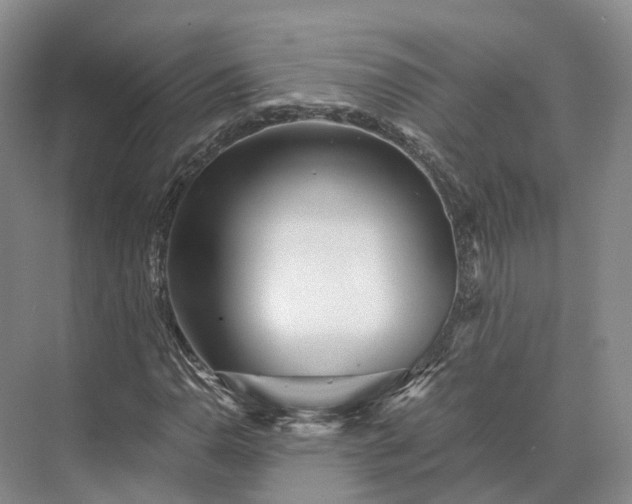 X0000073531110200608141019