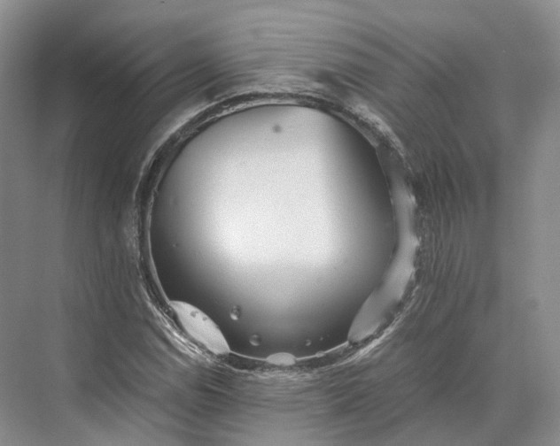X0000073531114200608141019