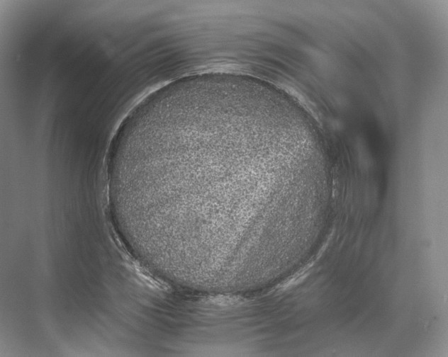 X0000073531117200608141019