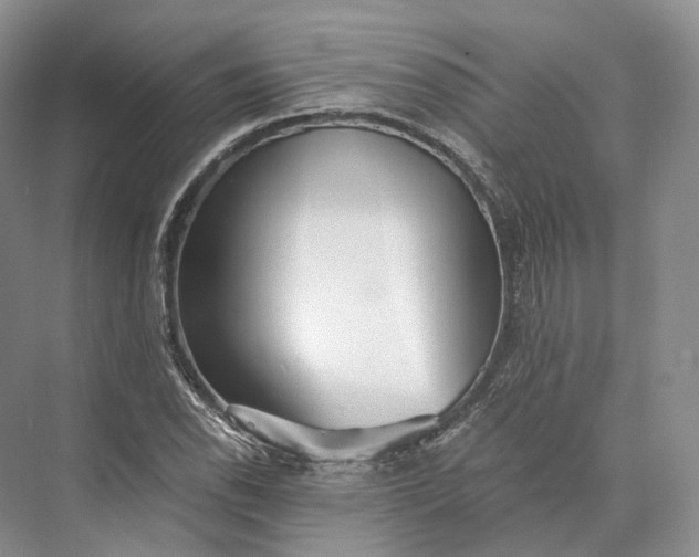 X0000073531118200608141019