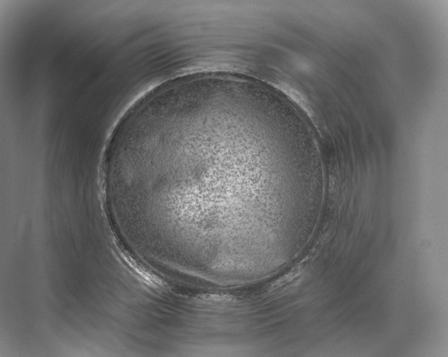 X0000073531119200608141019