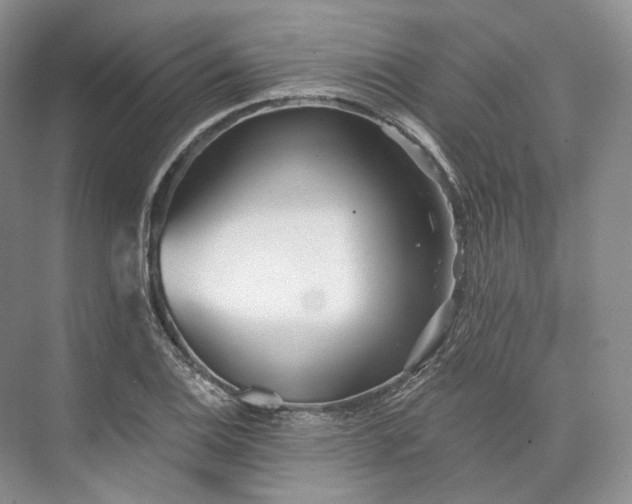 X0000073531124200608141019