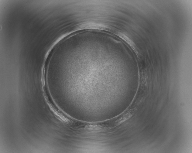 X0000073531128200608141019
