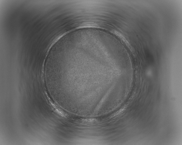 X0000073531129200608141019