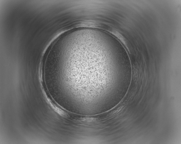 X0000073531131200608141019