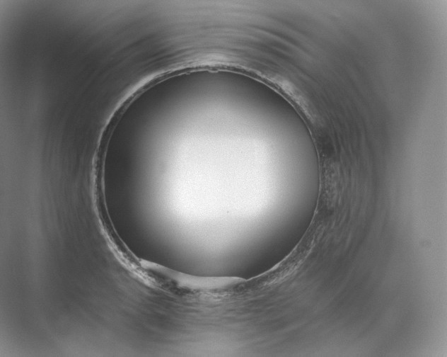 X0000073531134200608141019