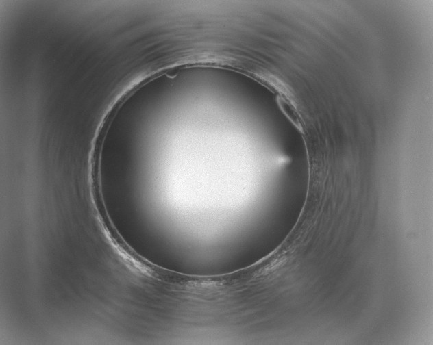 X0000073531135200608141019